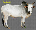 Thumbnail for version as of 15:36, 26 January 2013