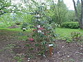 Thumbnail for version as of 12:20, 27 October 2004