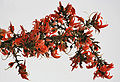 Thumbnail for version as of 22:42, 6 February 2008