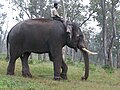 Thumbnail for version as of 08:01, 2 March 2012