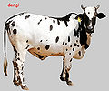 Thumbnail for version as of 15:19, 26 January 2013