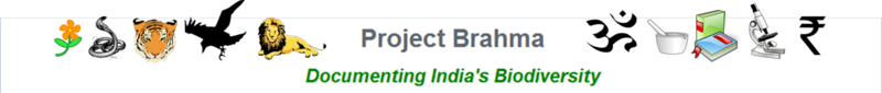 File:Header banner logo.png