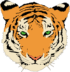 Tiger clipart.png