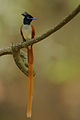 Thumbnail for version as of 08:27, 23 January 2011