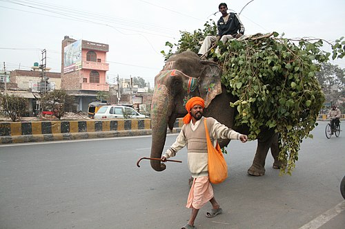 Elephant in indian culture - Biodiversity of India: A Wiki Resource for ...